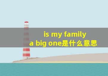 is my family a big one是什么意思